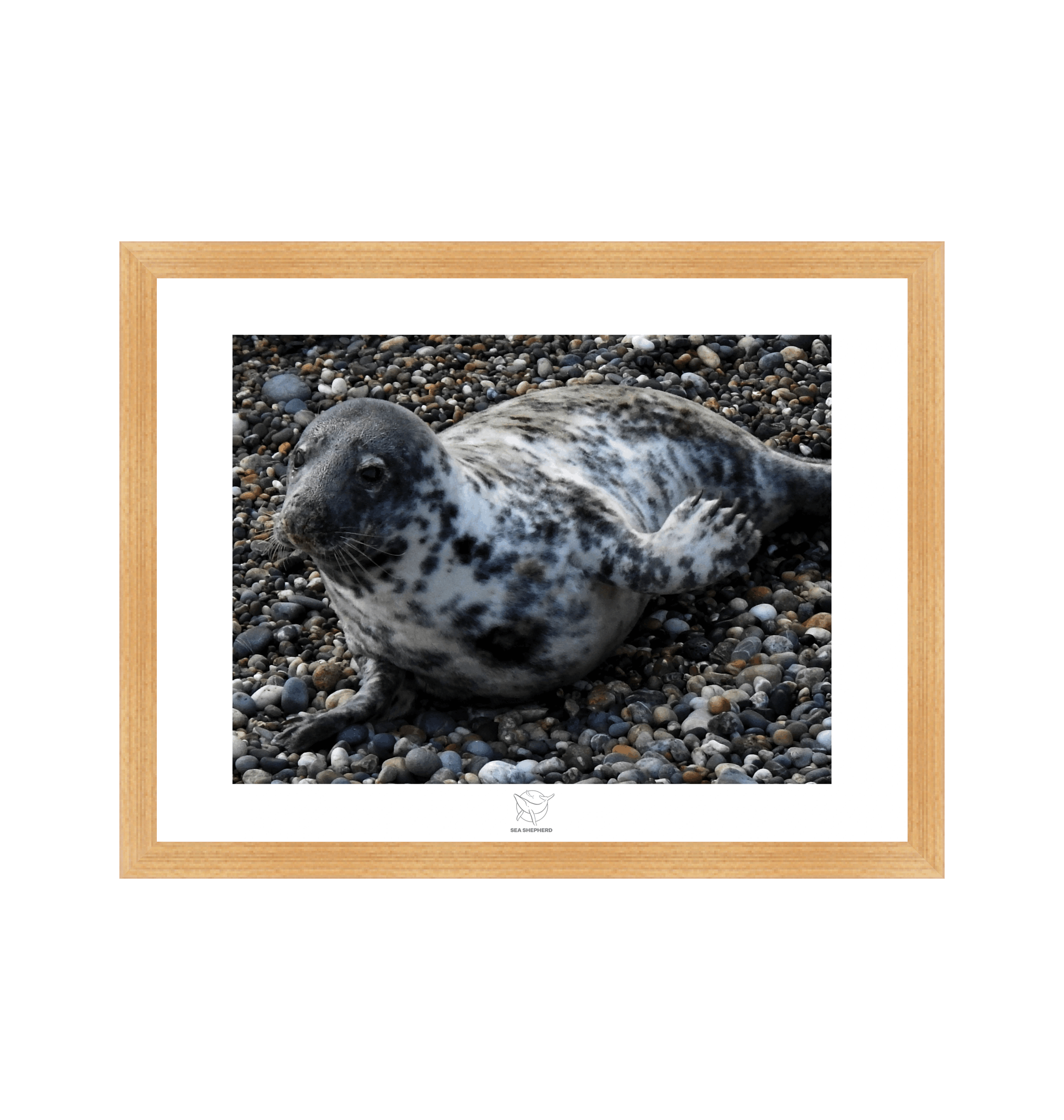 Natural Frame Fine art print Front